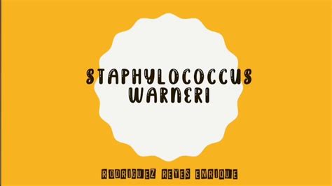 Staphylococcus Warneri Youtube