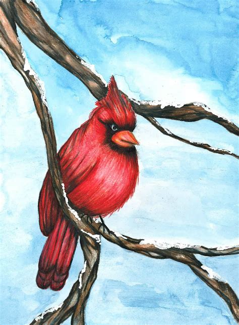 Winter Cardinal Original Drawing And Painting By Coriannartanddesign On