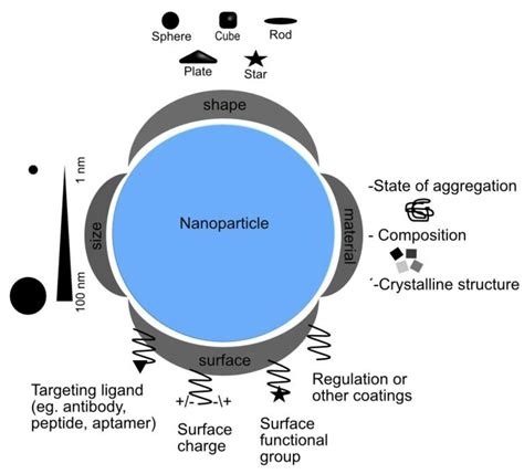 Nanomaterials Free Full Text Interactions Of Nanoparticles And