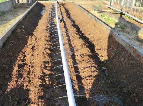 Raised garden bed irrigation system. Junk The Water Hose For A Simple $35 DIY Rainwater Irrigation System | Survival | Before It's News