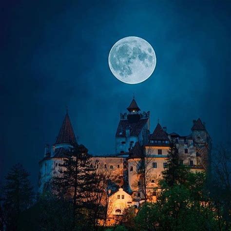 Great Night Capture Of The Draculas 🧛‍♂️ Castle Castelulbranromania