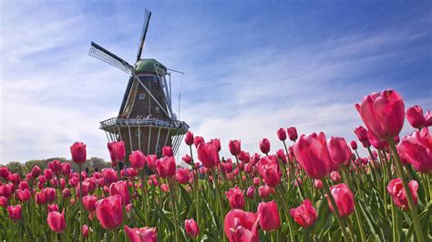 Hd Holland Wallpapers Top Free Hd Holland Backgrounds Wallpaperaccess