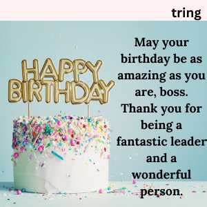Birthday Wishes For Boss Best Wishes Messages For Boss