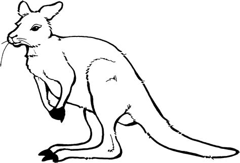 Free Kangaroo Coloring Pages