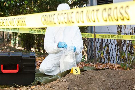 Gloves For Crime Scene Processing Protecting You And The Evidence