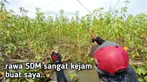 Mancing Di Rawa Sdmmancing Nyobok Ikan Nila Youtube