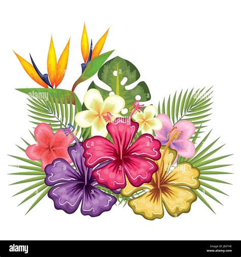 Colorful Tropical Flowers And Leaves Over White Background Vector