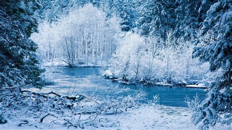 Hd Nature Winter Wallpaper Backgrounds 1920x1080 Coolwallpapersme
