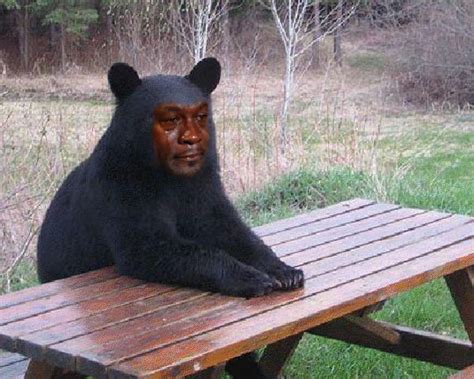 Bear Jordan Crying Michael Jordan Know Your Meme