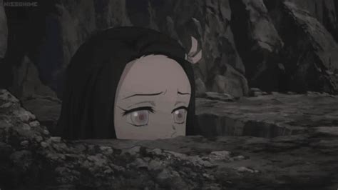 Nezuko And Tanjiro 