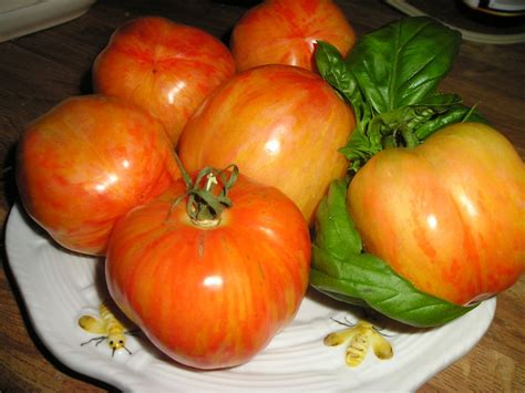 Tomato Striped German Organic Heirloom Seeds 2022