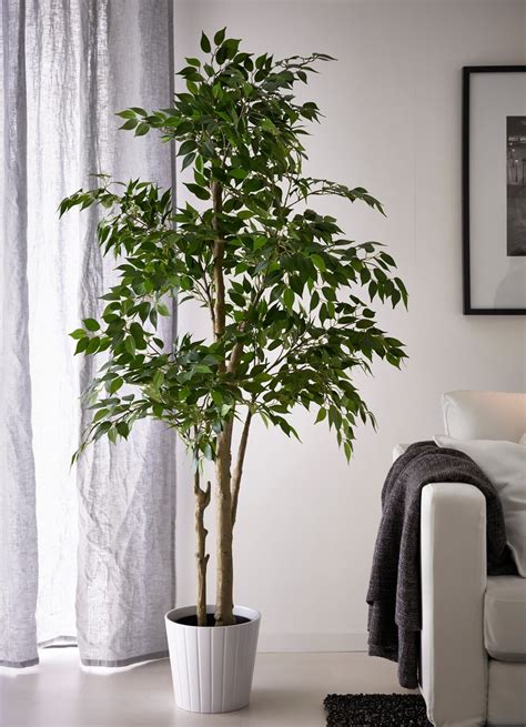 5 Times That Fake Plants Make The Cut Or Do They Apartment Therapy
