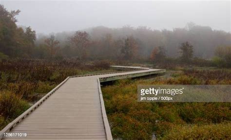Marsh Boardwalk Photos And Premium High Res Pictures Getty Images