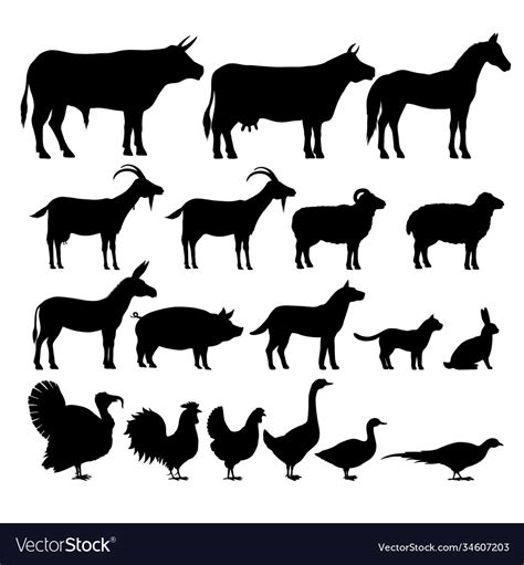 Silhouettes Farm Animals Royalty Free Vector Image