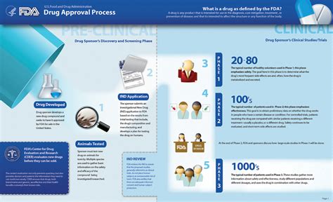 Fda Drug Approval Process Infographic Horizontal Fda