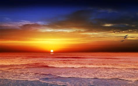 Free Photo Sunset Beach Beach Landscape Ocean Free Download Jooinn