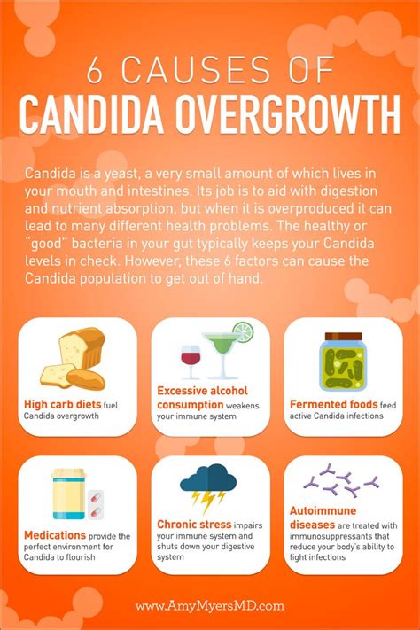 Candida Overgrowth 10 Signs And The Best Solution Yeast Infection