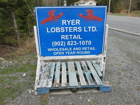 Ryer Lobsters Enroute To Peggys Cove