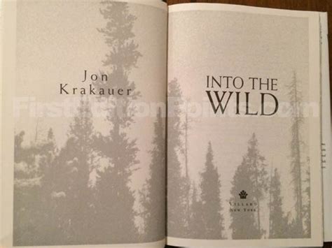 Into The Wild Book Synopsis Serveserre