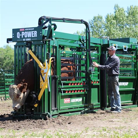 Q Power 107 Series Hydraulic Cattle Crush Arrowquip