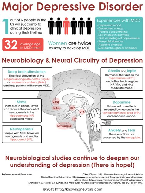 Neurobiology And Neural Circuitry Of Depression Visually