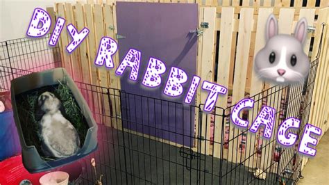 Diy Rabbit Cage Youtube