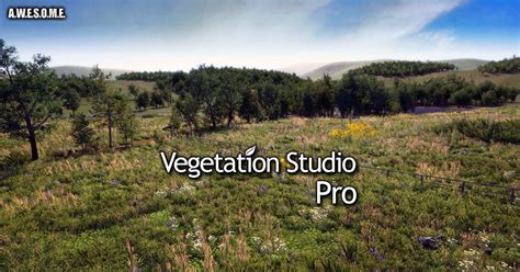 Vegetation Studio Pro Vegetation Studio Pro Is A Vegetation Placement