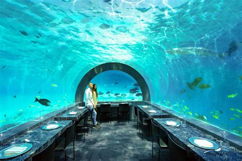 You And Me By Cocoon Maldives Introduces Underwater Weddings At H2o