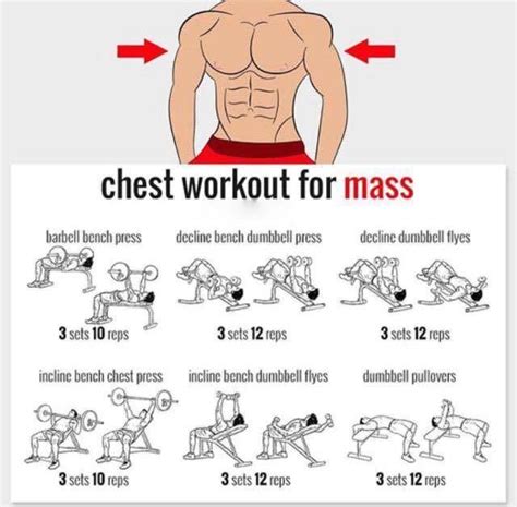 Muscle Mass Workout For Chest Muscle Mass Workout Chest Workout For