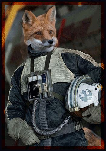 Ozy Tails Vuk Star Wars Rp