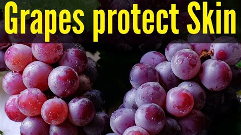 Grape Consumption May Protect Against Uv Damage To Skin Youtube