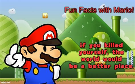 Fun Facts With Mario Imgflip