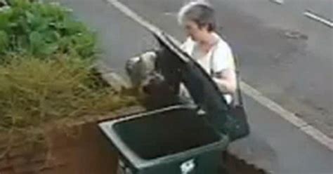 Woman Caught Dumping Cat In Trash Pleads Guilty Cbs News