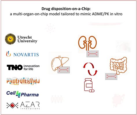 Drug Disposition On Chip Multi Organ Chip To Mimic Adme In Vitro