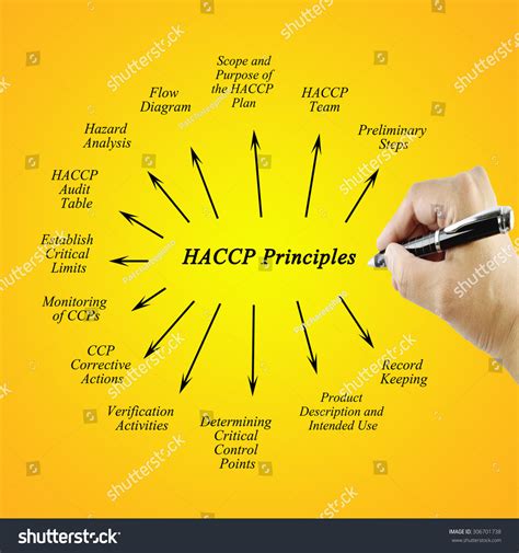 Woman Hand Writing Element Haccp Principle Stock Photo 306701738