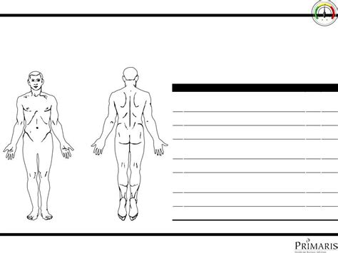 Skin Assessment Form ≡ Fill Out Printable Pdf Forms Online