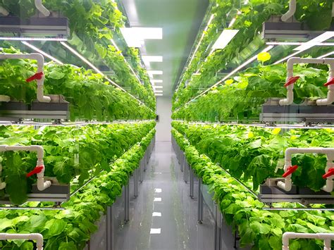 Vertical Farming Market To Witness The Highest Growth Globally In