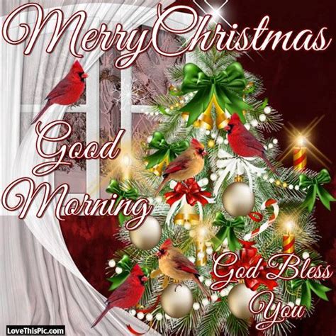 Merry Christmas God Bless You And Your Morning Pictures Photos And Images For Facebook Tumblr