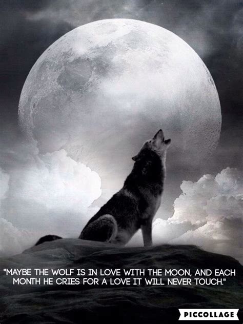 Wolf Moon Love Quote Wolf Howling At Moon Wolf Howling Wolf Moon