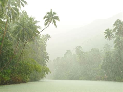 Tropical Rainforest Climates Are The Hottest On Earth The Earth