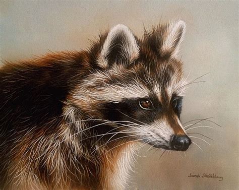 Sarah Stribbling Wildlife Art Gallery Wildlife Art Wildlife