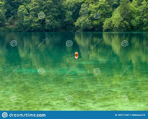 Small Lake In The Green Summer Forest With Turquoise Water Stock Image