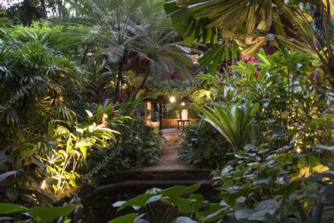 Tropical Garden — Stock Photo © Sia James 74237061