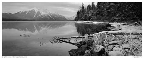 Panoramic Black And White Picturephoto Lake Snowy Shore And