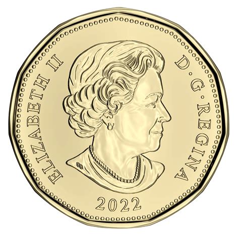 Roll Of Dollar Coins