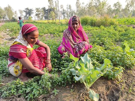 Women Undertake Most Of The Laborious Work In The Fields Yet They Are Not Called Farmers