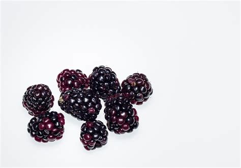 Berry Fruit Blackberry Free Photo On Pixabay Pixabay