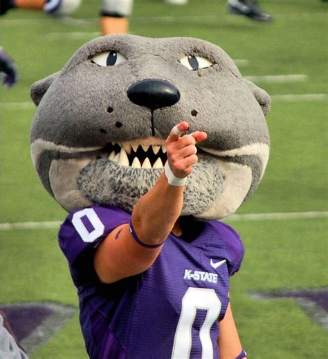 Kansas State University Wildcats Football Mascot Willie The Wildcat