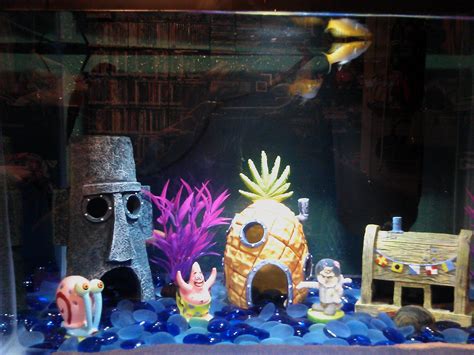 Spongebob Fish Tank Betta Aquarium Freshwater Aquarium Fish Betta