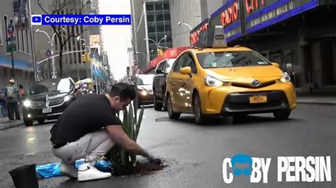 Youtube Prankster Fills Nyc Potholes With Plants City Officials Not